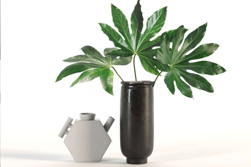 盆栽模型花瓶摆件装饰模型3D模型 (C4D,FBX)