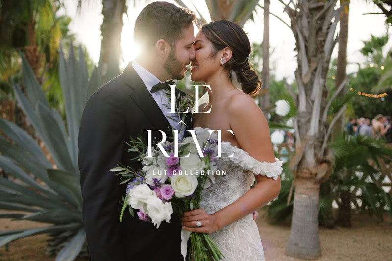 豪华婚礼梦幻唯美氛围LUTS调色预设 Gamut – Le Reve