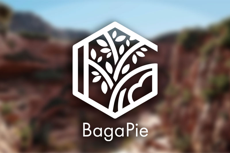 Blender自然环境岩石花草树木植物资产包 BagaPie V10.4.16 + Assets Full预设库