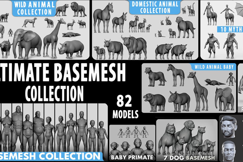 82款人类野生动物模型3D模型合集(Blender,FBX,OBJ,MB) Ultimate Basemesh Collection