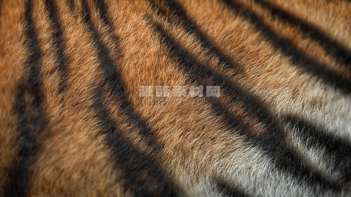 C4D3个毛球毛发毛绒绒OC工程 C4D3个毛球毛发毛绒绒OC工程