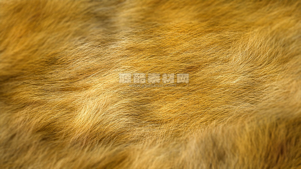 C4D3个毛球毛发毛绒绒OC工程 C4D3个毛球毛发毛绒绒OC工程
