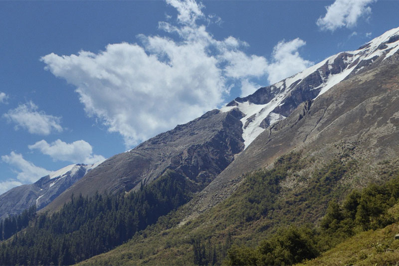 程序化地形生成软件 QuadSpinner Gaea V2.1.2.0 Win