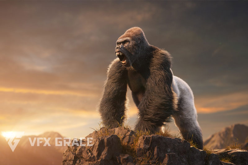 高精度银背大猩猩3D模型素材下载(Blender,OBJ)VFX Grace – Silverback Gorilla