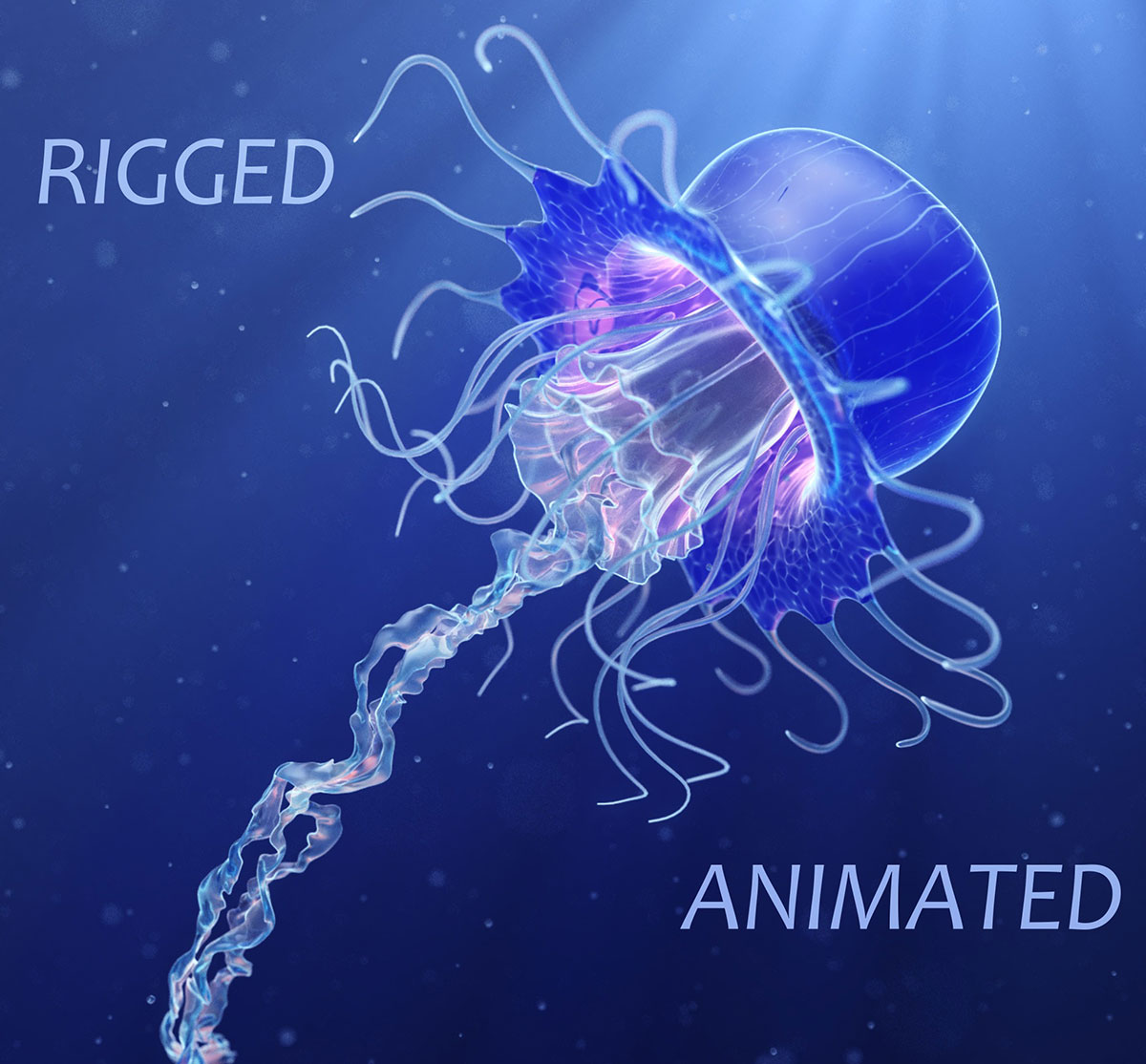 带绑定骨骼动态水母模型海洋动物3D模型素材(C4D,FBX)