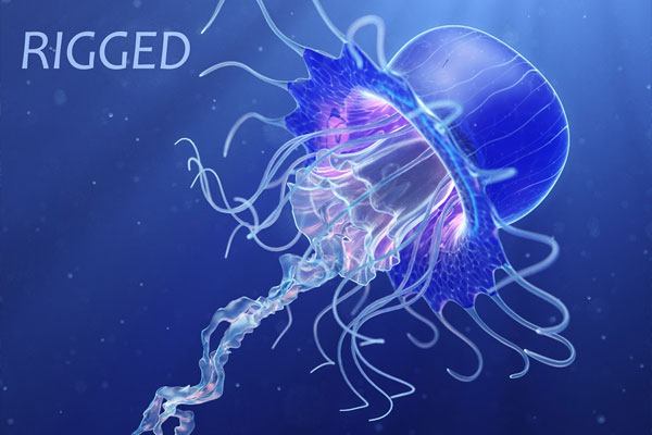 带绑定骨骼动态水母模型海洋动物3D模型素材(C4D,FBX)