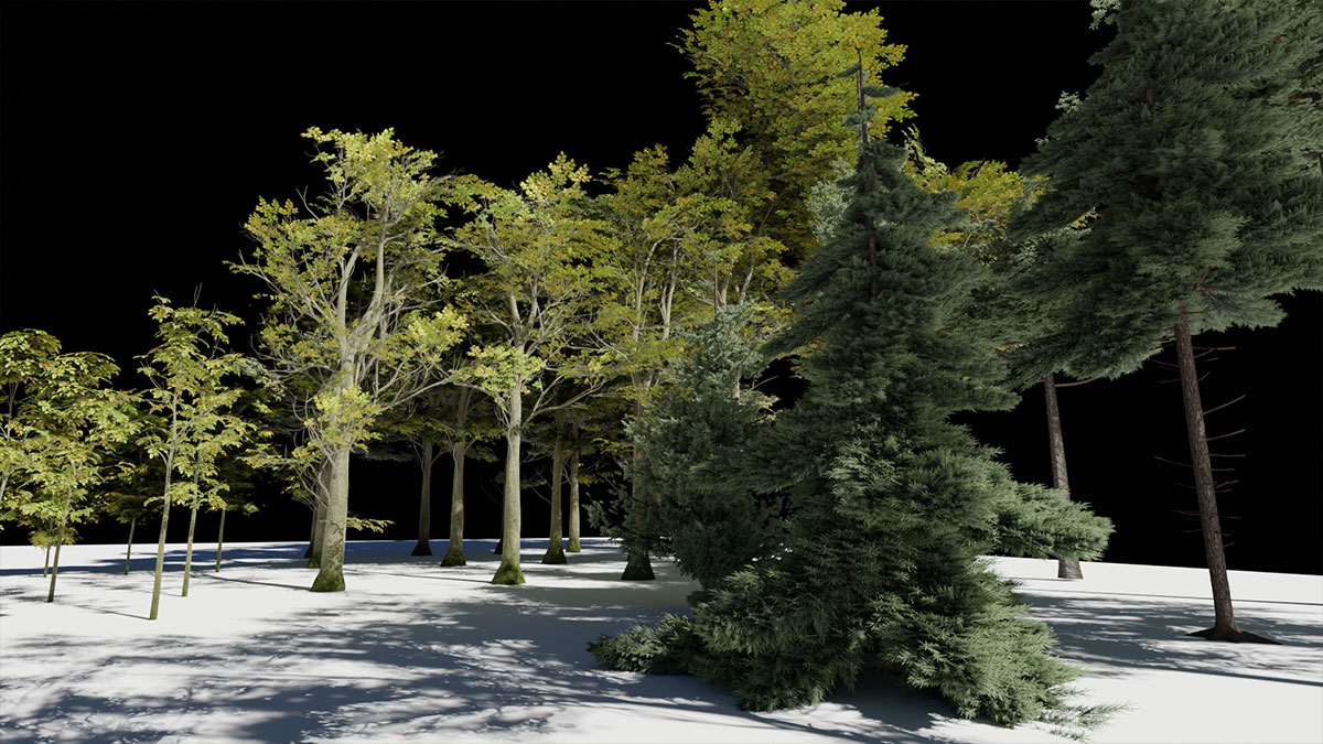 自然环境植物大型树木3D模型资产(Blender) Large Tree Asset Pack