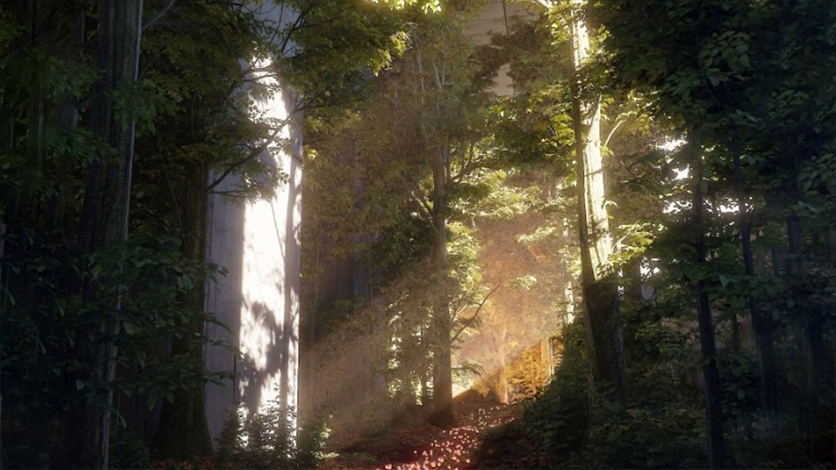 自然环境植物大型树木3D模型资产(Blender) Large Tree Asset Pack