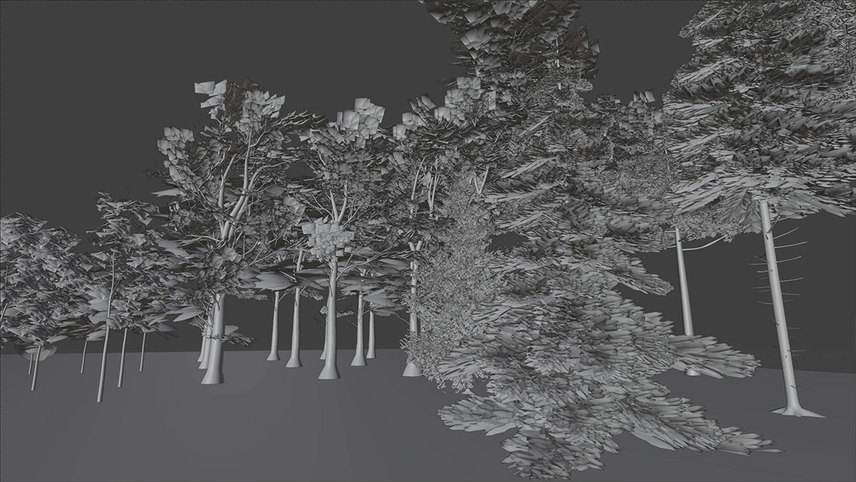 自然环境植物大型树木3D模型资产(Blender) Large Tree Asset Pack
