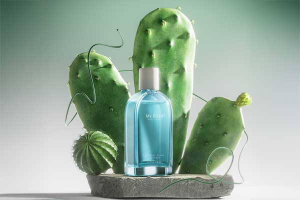 C4D漱口水产品场景OC渲染工程漱口水仙人掌模型素材