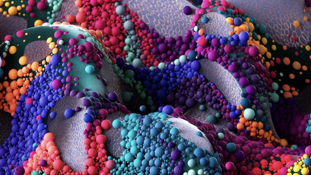 C4D软件-C4D 2025安装包 Maxon Cinema 4D 2025.3.2 Win 中文/英文版