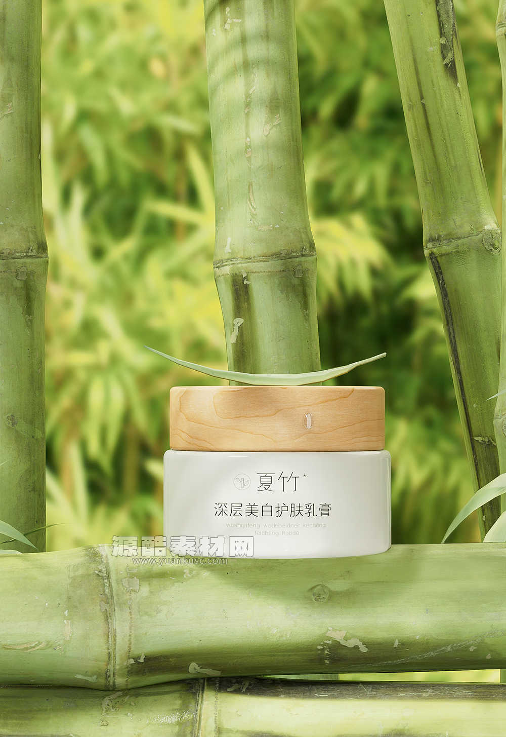 C4D美妆化妆品竹林场景Arnold渲染工程竹子C4D模型素材