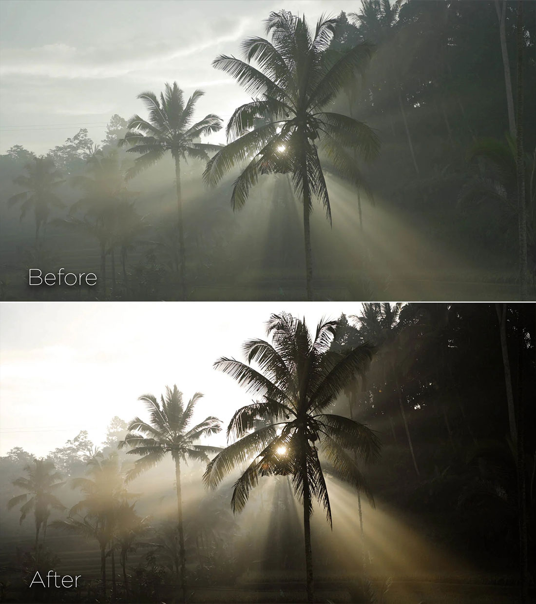 159个电影感旅拍VLOG美食纪录片商业摄影短片色彩分级调色LUTS预设 Pixelbae – Master LUTs Collection ver.1