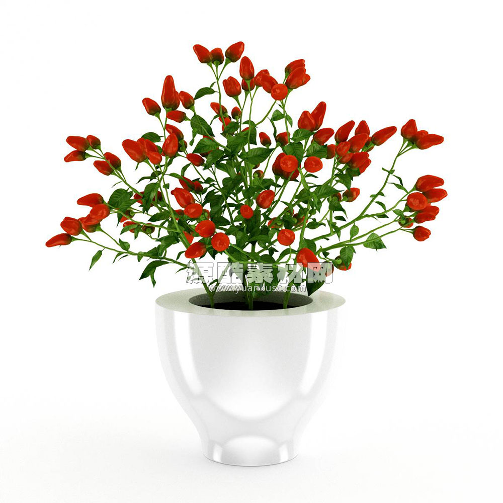 植物花模型盆栽3D模型素材(C4D,Blender,FBX)