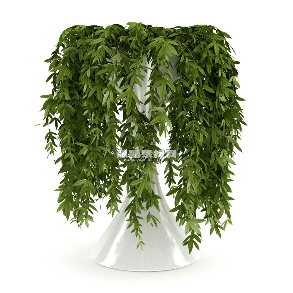 植物垂柳盆景模型盆栽3D模型下载(C4D,Blender,FBX)