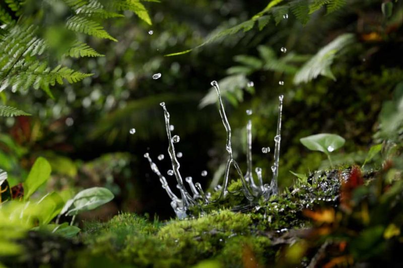 再现经典之作 运用C4D+OC打造绚丽水滴微距镜头