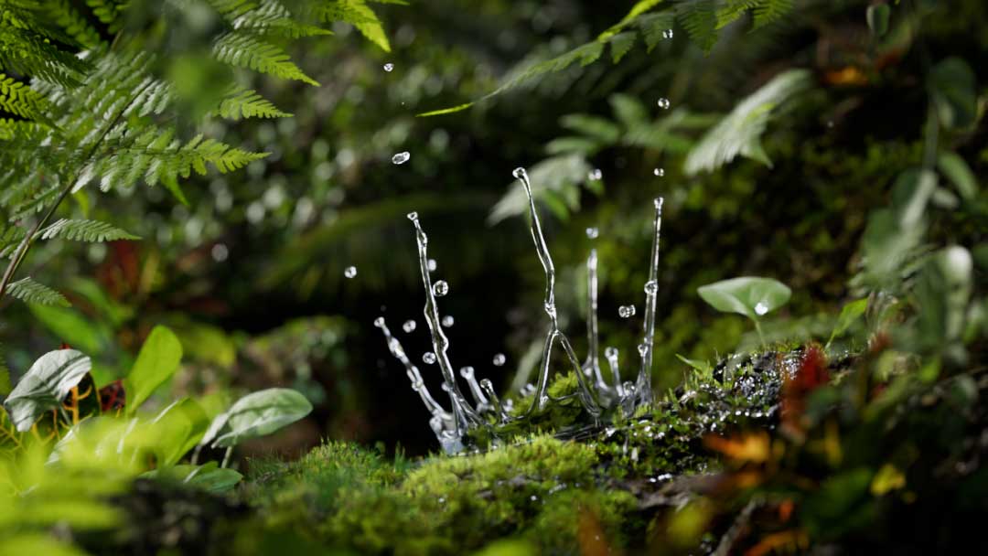 再现经典之作 运用C4D+OC打造绚丽水滴微距镜头