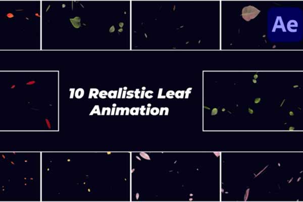 AE真实秋天落叶动画模板 Realistic Falling Leaves