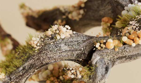 C4D Octane渲染器全面基础入门视频教程(中英双语)- MotionPunk – Mastering Octane: Fundamentals