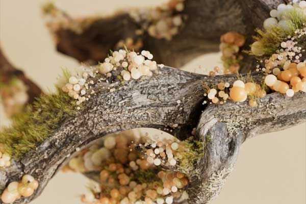 C4D Octane渲染器全面基础入门视频教程(中英双语)- MotionPunk – Mastering Octane: Fundamentals