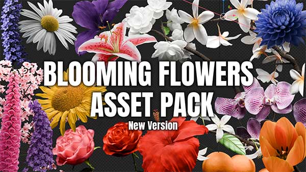 花朵开花动画模型Blender资产预设 Blooming Flowers V4.1