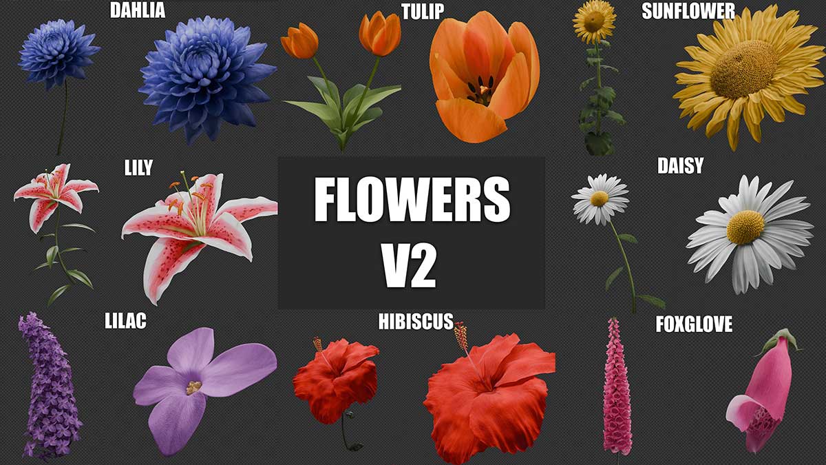 花朵开花动画模型Blender资产预设 Blooming Flowers V4.1