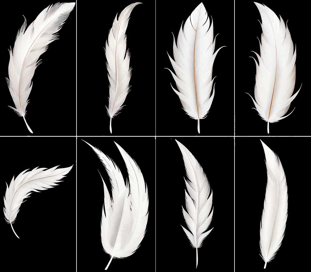 25根4K羽毛纹理贴图羽毛PBR贴图下载