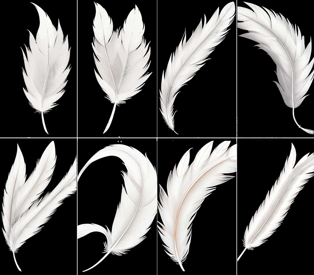 25根4K羽毛纹理贴图羽毛PBR贴图下载