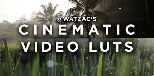 LUTs预设-66组电影级视频调色预设 Cinematic Video LUTs By Watzac