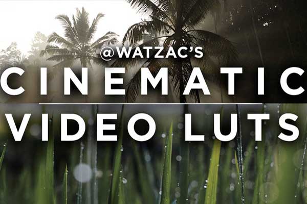 LUTs预设-66组电影级视频调色预设 Cinematic Video LUTs By Watzac