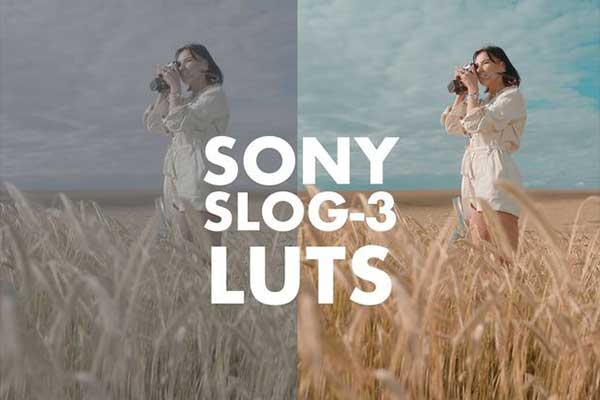 21组电影人物肤色还原LUTs视频调色预设 SONY SLOG 3 LUTS – SKINTONE EDITION