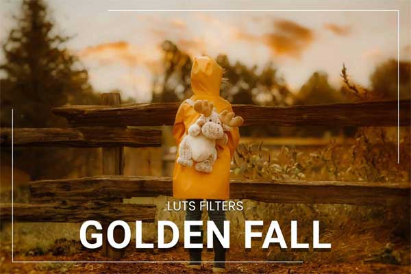 30款金秋暖色视频调色LUTs预设 3motional – 30 Golden Fall LUT Collection