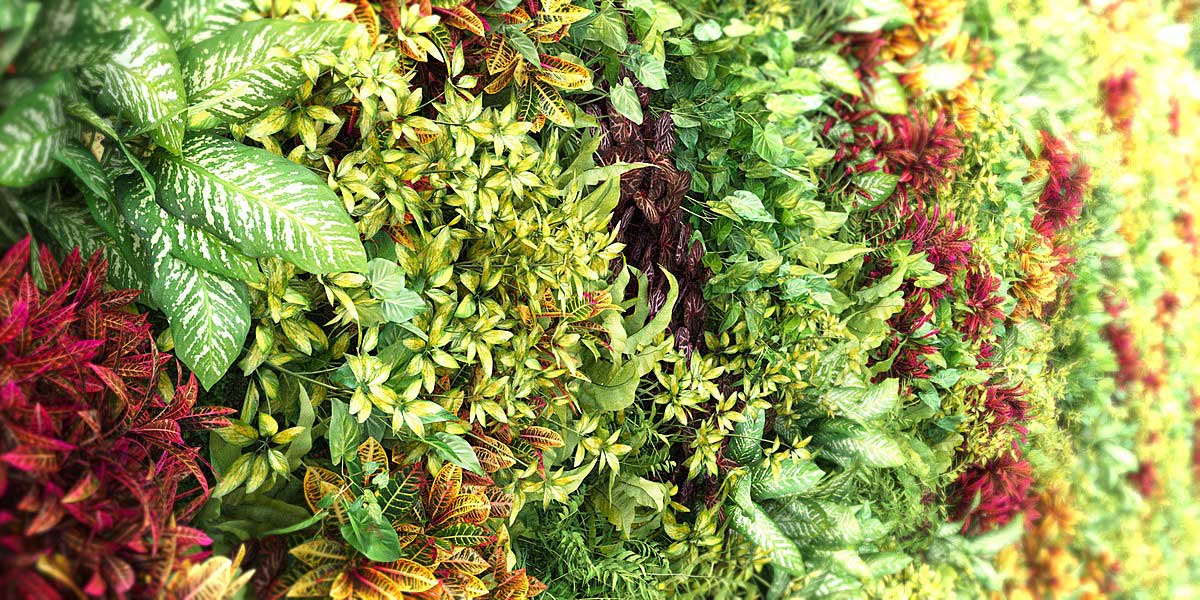 Blender景观绿化植物3D模型资产预设 Vertical Scapes