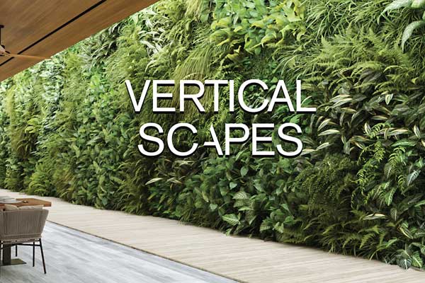 Blender景观绿化植物3D模型资产预设 Vertical Scapes