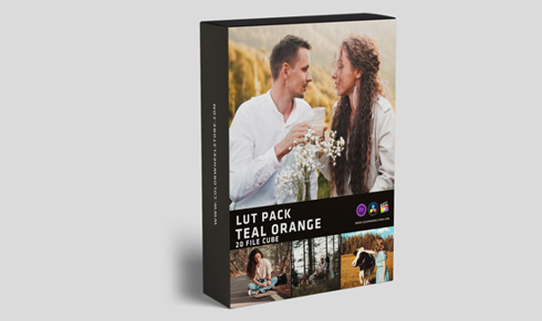 20个经典的电影质感蓝橙色调LUTs预设 Colorwheelstore – Lut Teal Orange Style