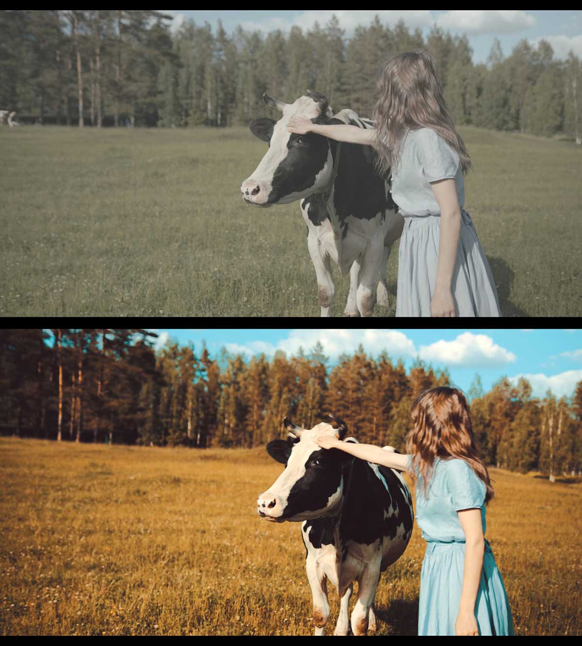 20个经典的电影质感蓝橙色调LUTs预设 Colorwheelstore – Lut Teal Orange Style