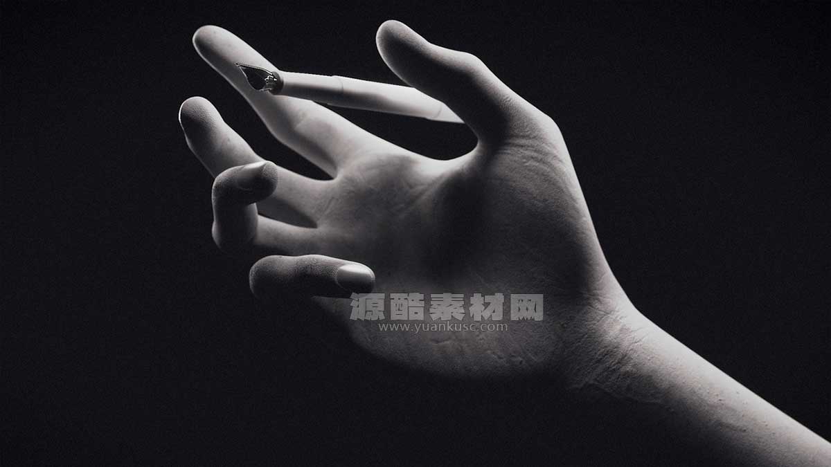 C4D骨骼绑定手3D模型+预设 Rigged Hand in Cinema 4D [C4D/Xpresso]