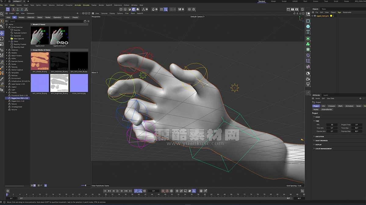 C4D骨骼绑定手3D模型+预设 Rigged Hand in Cinema 4D [C4D/Xpresso]