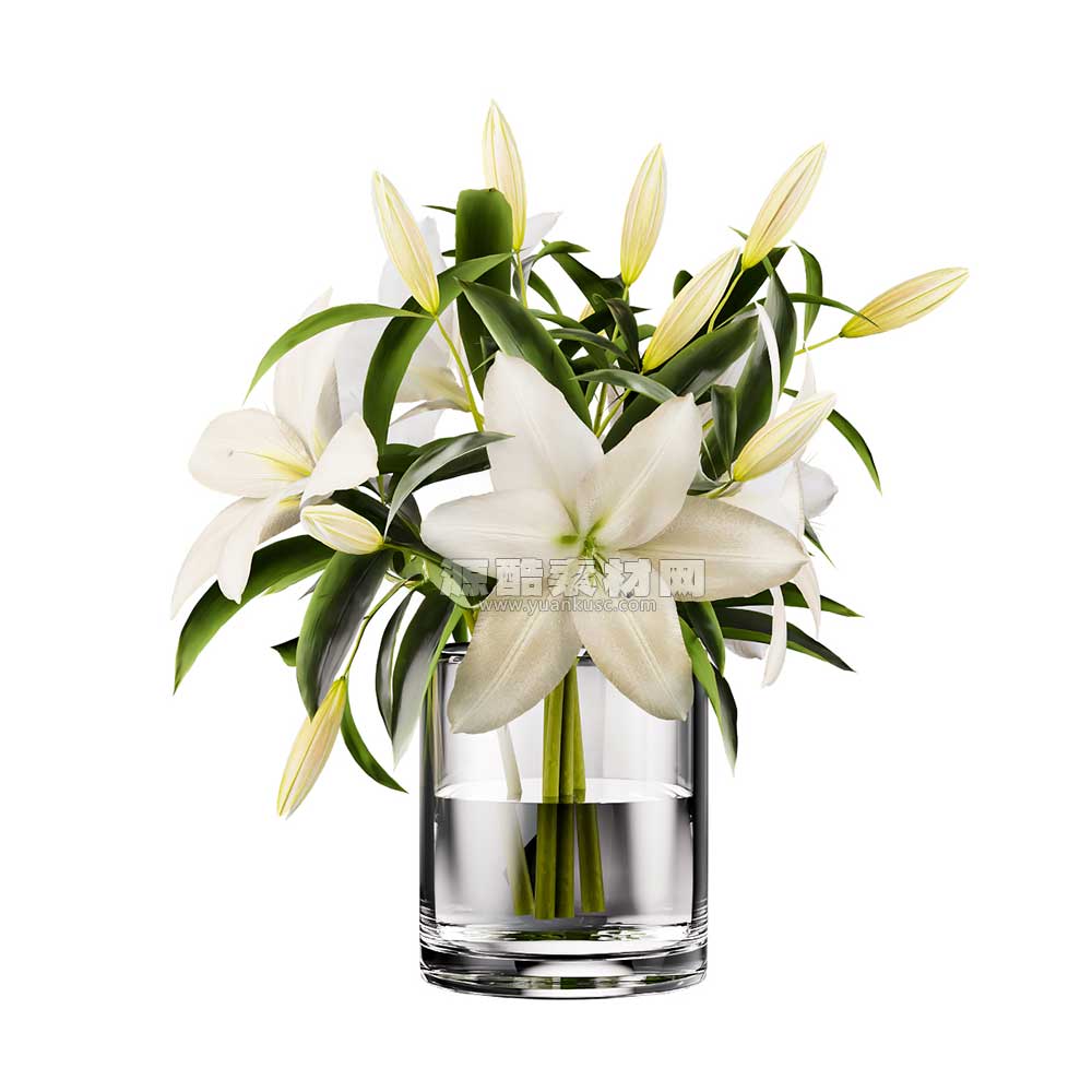 百合花模型鲜花花卉3D模型(C4D,FBX)
