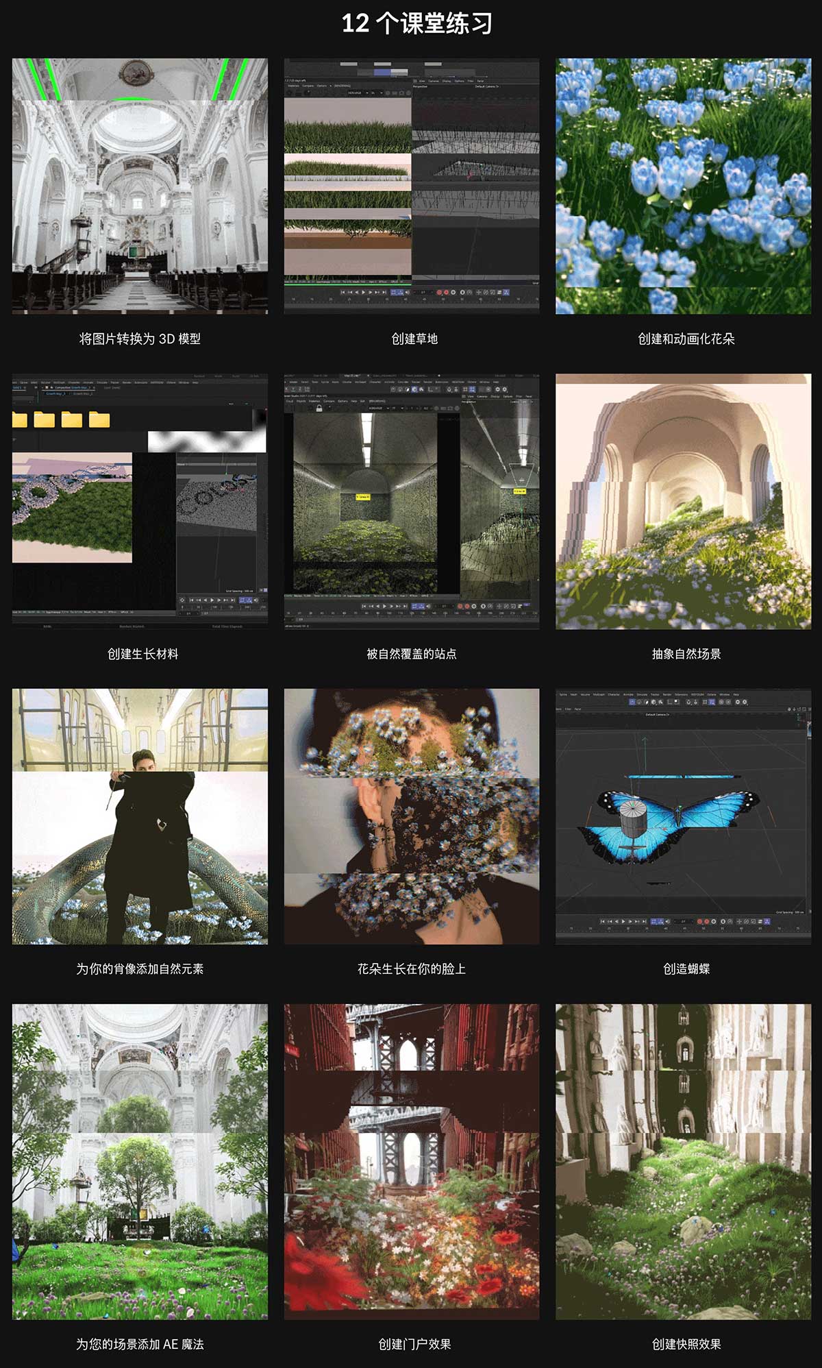 C4D OC/AE超现实梦幻场景特效高级视频教程(中英文字幕) Coloso – Creating Surreal Dreamworlds with C4D & Octane
