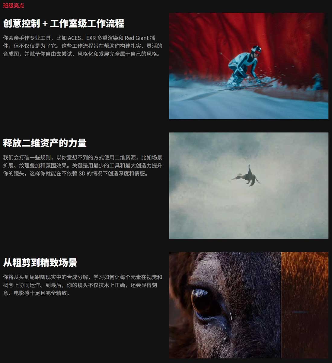 AE电影级特效合成视觉效果进阶视频教程包含素材工程文件(中文配音+字幕) Coloso-The Art of Cinematic Compositing in After Effects