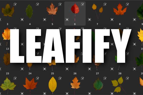 Blender树叶纹理贴图素材资产预设 Leafify – 40 Leaf/Leaves Texture Alphas