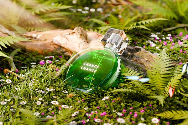 Blender香水产品场景渲染工程香水3D模型(Blender,FBX)