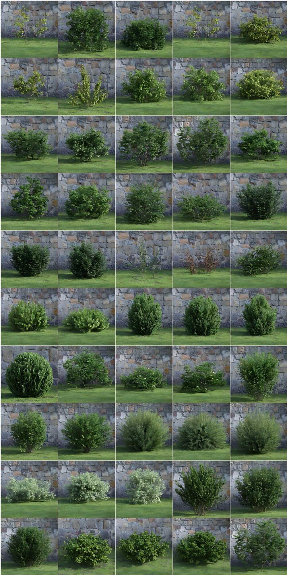 48个Blender高品质园林灌木植物3D模型(Blender) Archmodels vol. 204