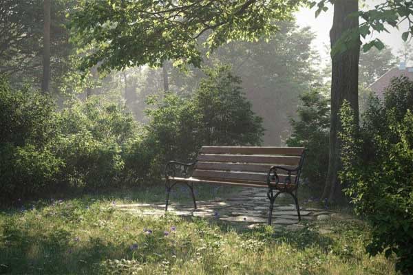 48个Blender高品质园林灌木植物3D模型(Blender)  Archmodels vol. 204