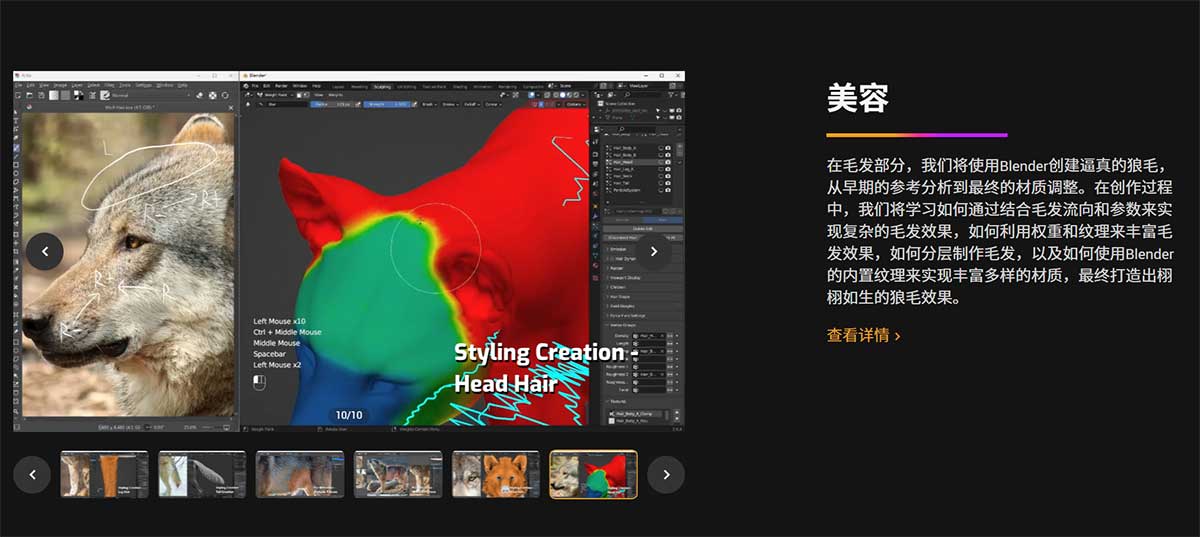 (中文配音+中文字幕)Blender超写实狼动物建模贴图毛发绑定动画全流程教程 VFX Grace – Blender Animal Full Tutorial