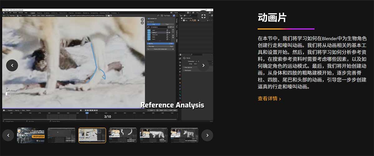 (中文配音+中文字幕)Blender超写实狼动物建模贴图毛发绑定动画全流程教程 VFX Grace – Blender Animal Full Tutorial