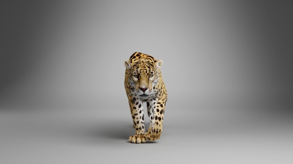 Blender美洲豹模型动物3D模型下载