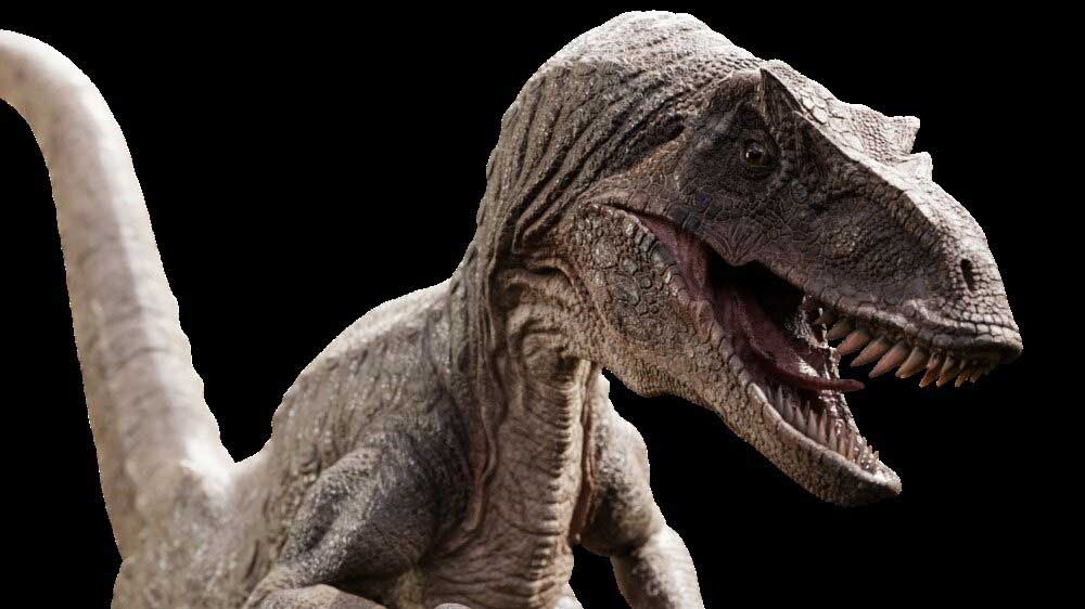 Blender迅猛龙模型恐龙3D模型 Raptor Dinosaur 3D Model Realistic And Rigged
