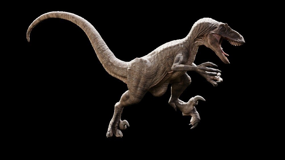 Blender迅猛龙模型恐龙3D模型 Raptor Dinosaur 3D Model Realistic And Rigged